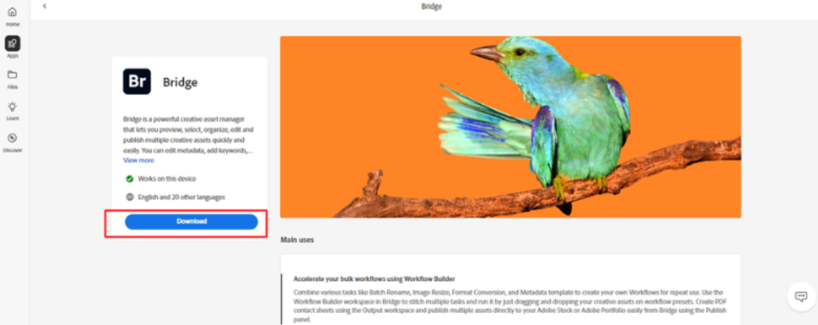 Adobe Bridge – File Management Tool For Designers